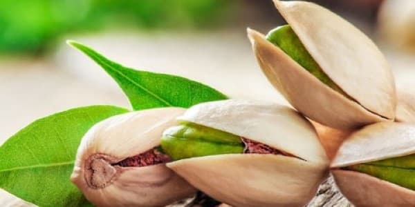 تصویر 3 از قیمت خرید پسته اکبری درجه 1 عمده به صرفه و ارزان